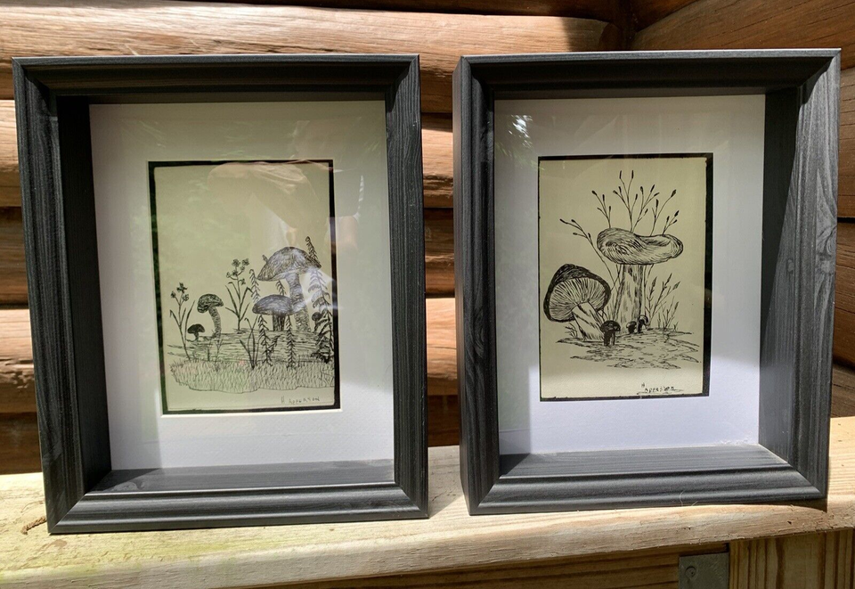 Signed Mushroom Drawings Pen Ink Art Original H. Apperson Set of 2 | eBay