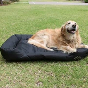 Extra Large Dog Bed Pet Products Gumtree Australia Free Local Classifieds