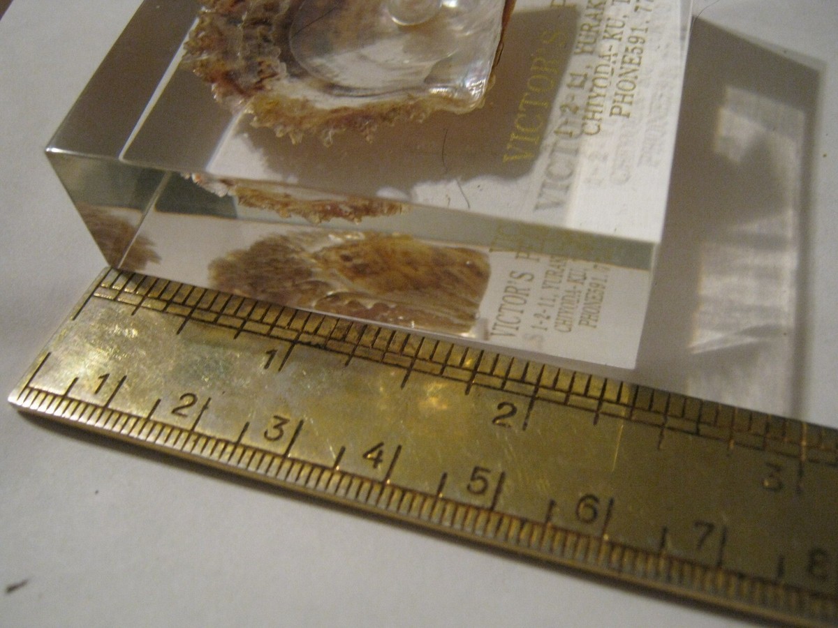 c. 1970s Lucite Paper Weight VICTOR'S PEARLS TOKYO, 1-2-11