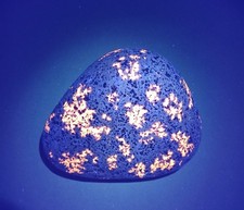 Yooperlite Fluorescent Sodalite -  About 1 lb and 2 oz.  Large and Bright Stone 