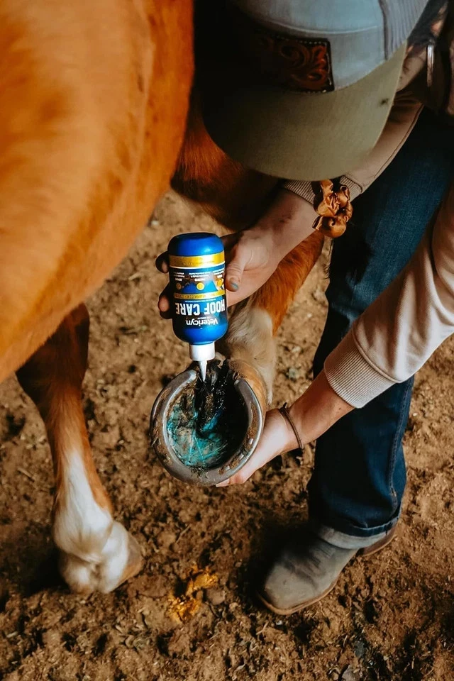 Vetericyn Equine Hoof Care for Sole and Frog Damage Caused 8 Ounces - Image 4 of 4