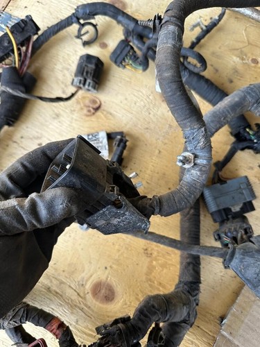 2019-2024 DODGE 2500/3500 TRANSMISSION WIRING HARNESS; ID P68432822AB; 6.7L AT - Bild 5 von 9