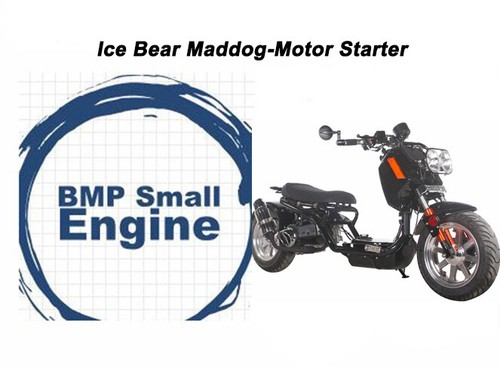 Ice Bear Maddog 150cc Scooter PMZ150-19 