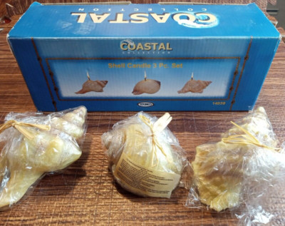 Seashell Shaped Candles /Coastal Collection By Young 14039