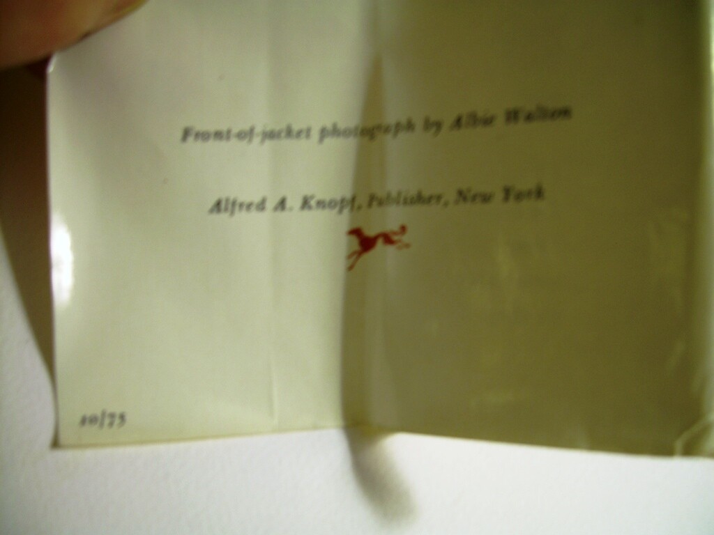 Picture 5 of 12