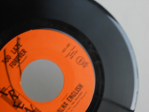 Z10 TREND 61 101 DOO WOP COUNTRY RALNA ENGLISH THE BEAVERS TOO LATE FOREVER - Picture 7 of 10