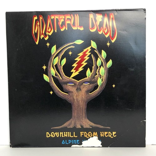 1997 Grateful Dead Downhill From Here Alpine Valley Laserdisc 2 Disc Set - Picture 4 of 10
