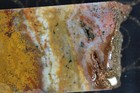 Ocean Jasper  Slab - 625 Grams - Thick - Lapidary - Cabs - Collector — photo 6