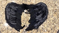Black Feather Angel Wings Feather Adult Costume Accessory