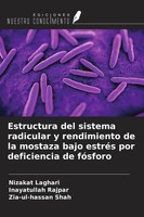 Nizakat Laghari (U. A.) | Estructura Del Sistema Radicular Y Rendimiento De...