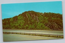 Devils Race Track I-75 Caryville Tennessee TN Vintage Postcard