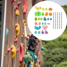 25Pcs Rock Climbing Holds Wall Grips for Indoor Outdoor Playground Play Set