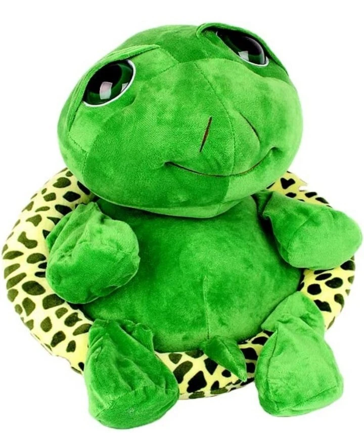 Big eyed turtle deals