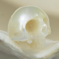 Perle Nacre Blanc Cassé 8.35mm Tête de Mort Sculptée Percée Verticale 0.50g