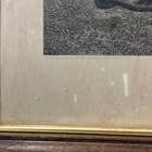 Picture 15 of 24