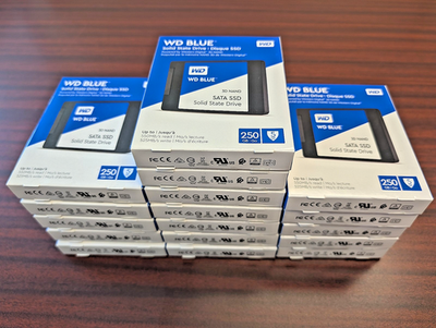 Lot of 17 NEW Western Digital 250GB WDS250G2B0A WD Blue 3D NAND