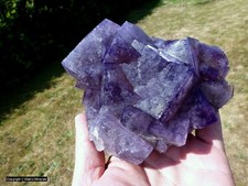 Fluorit von Greenlaws Mine, Weardale England #4