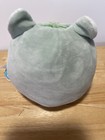 NWT Squishmallow 2020 5" Chase the Green Cat Lindsay the Leopard Flip A Mallow — photo 5