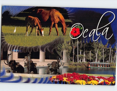 #ad Postcard Ocala Florida USA $6.99