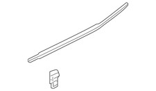 Genuine Honda Belt Molding 72910-t6z-a21 Genuine Honda Belt Molding 72910-t6z-a21