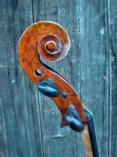 Violoncello bez. "R. FREDI ROMA 1901" !