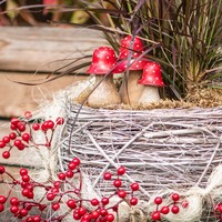 Fliegenpilz Deko Holzpilze Set 3Er Herbstdeko Tischdeko Rot Weiß 6-10Cm