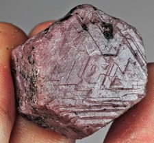 124Ct Natural Unheated Red Star Ruby Specimen Facet Rough YRX3021