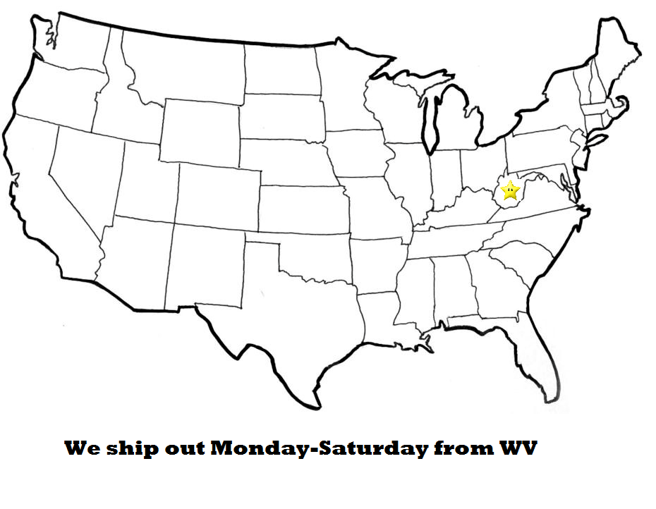 Shadow of the Ninja (Nintendo Entertainment System, 1991) eBay