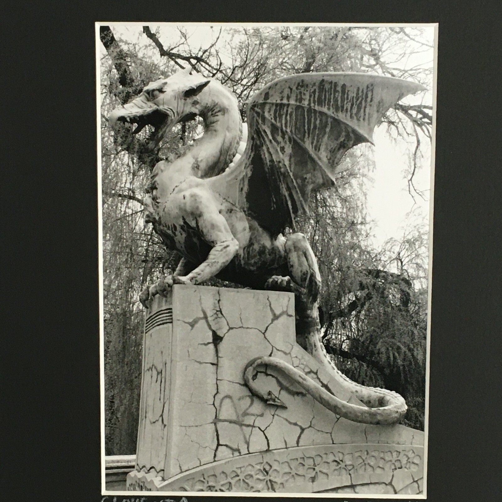 Picture 4 of 6