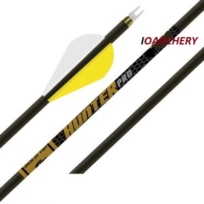Arrow Hunter Pro 2'' Raptor Vanes 1/2 DZ GOLD TIP