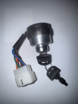 #ad Northstar 801493 ELECTRIC START SWITCH W keys $10.00