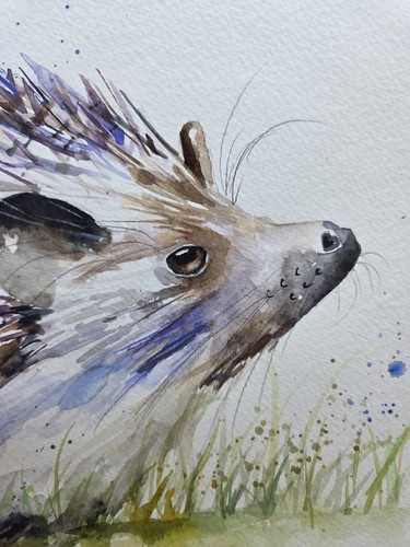 Original signed watercolour painting signed by Elle Smith Art of a Hedgehog - Picture 5 of 8
