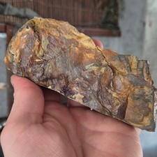 Fossiles Holz/Schiefer/Erz/Jaspis. Sammlerstücke