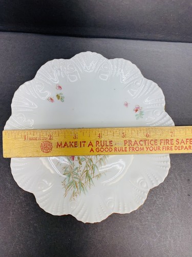 Vintage Carlsbad Porcelain Plate Made In Austria White Pink Flowers - Picture 2 of 3