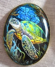 XL GLASS DOME PICTURE BUTTON  - BEAUTIFUL COLORFUL SEA TURTLE UNDERWATER