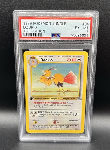 Dodrio (1st Edition) graded PSA 6 for sale on eBay