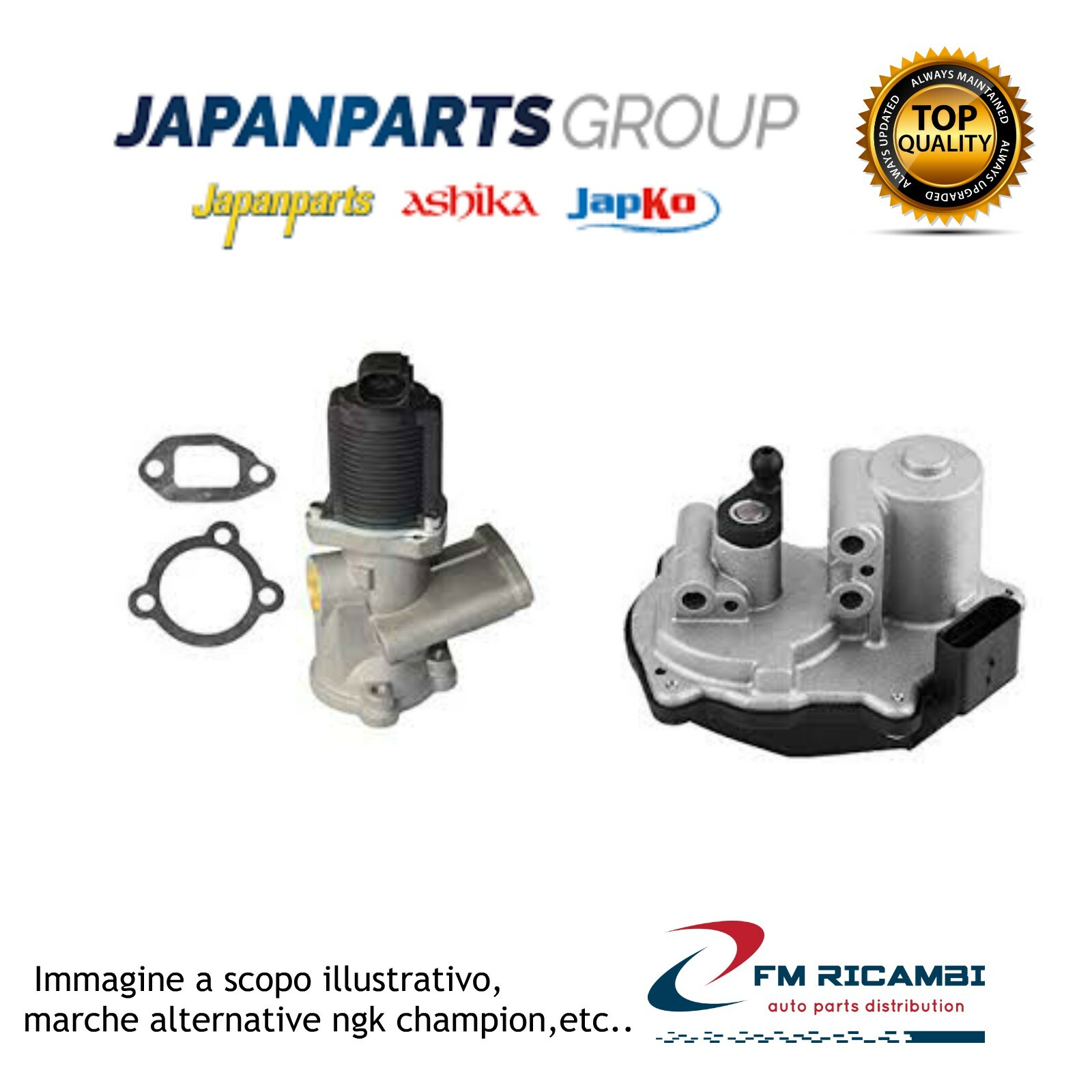 EGR-0208 JAPANPARTS Valvola EGR FIAT DUCATO