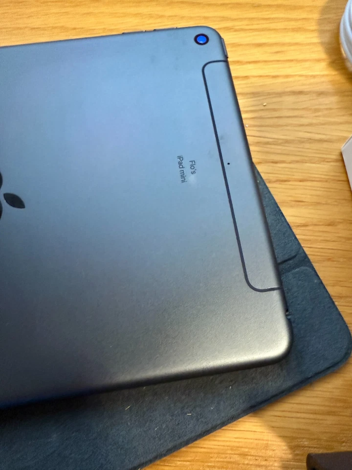 Apple iPad Mini (5.) 2019 256GB, WLAN+4G 7,9 Zoll - Mega Bundle all in - TOP - Bild 4 von 4