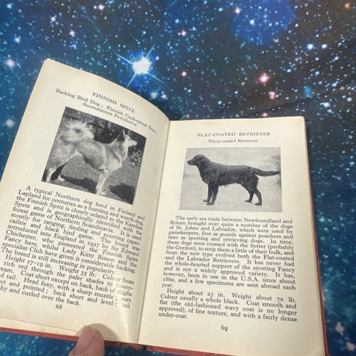 The Observer's Book of Dogs by Clifford L.B. Hubbard Pocket Series Hardcover - Picture 7 of 8