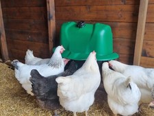 Plastic Poultry Drinker 12L, SMART Chicken Hens Bird Rain Cover High Quality