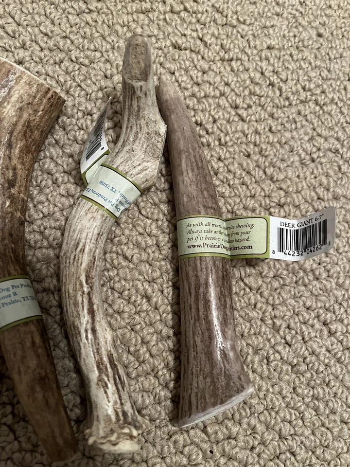 Prairie Dog Pet Products Elk Antler Treat, 6-7inch Deer Giant Bundle of 4, XL - Image 4 of 4