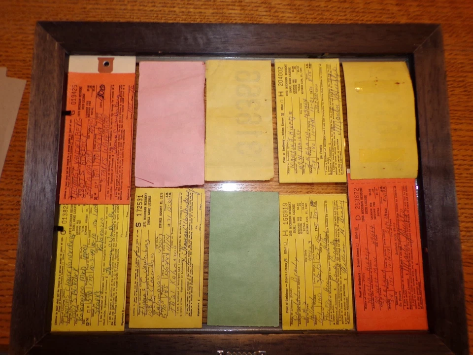 Lote de etiquetas de licencia de caza de ciervos de juego pequeño residente de Michigan vintage años 60 70 decoración Foto 2 de 4