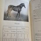 Foto 10 di 24