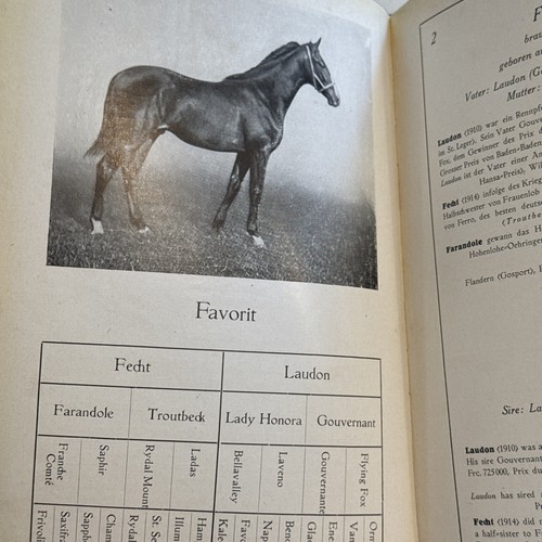 1926 Gestut Harzburg Germany Horse Stud Thoroughbred Dark Ronald Auction Catalog - Picture 10 of 24