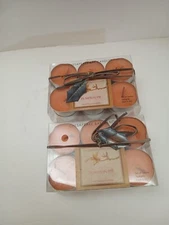 Lot Of 24 New/Rare Chesapeake Bay Candle "Pumpkin Pie" Scented Tealights