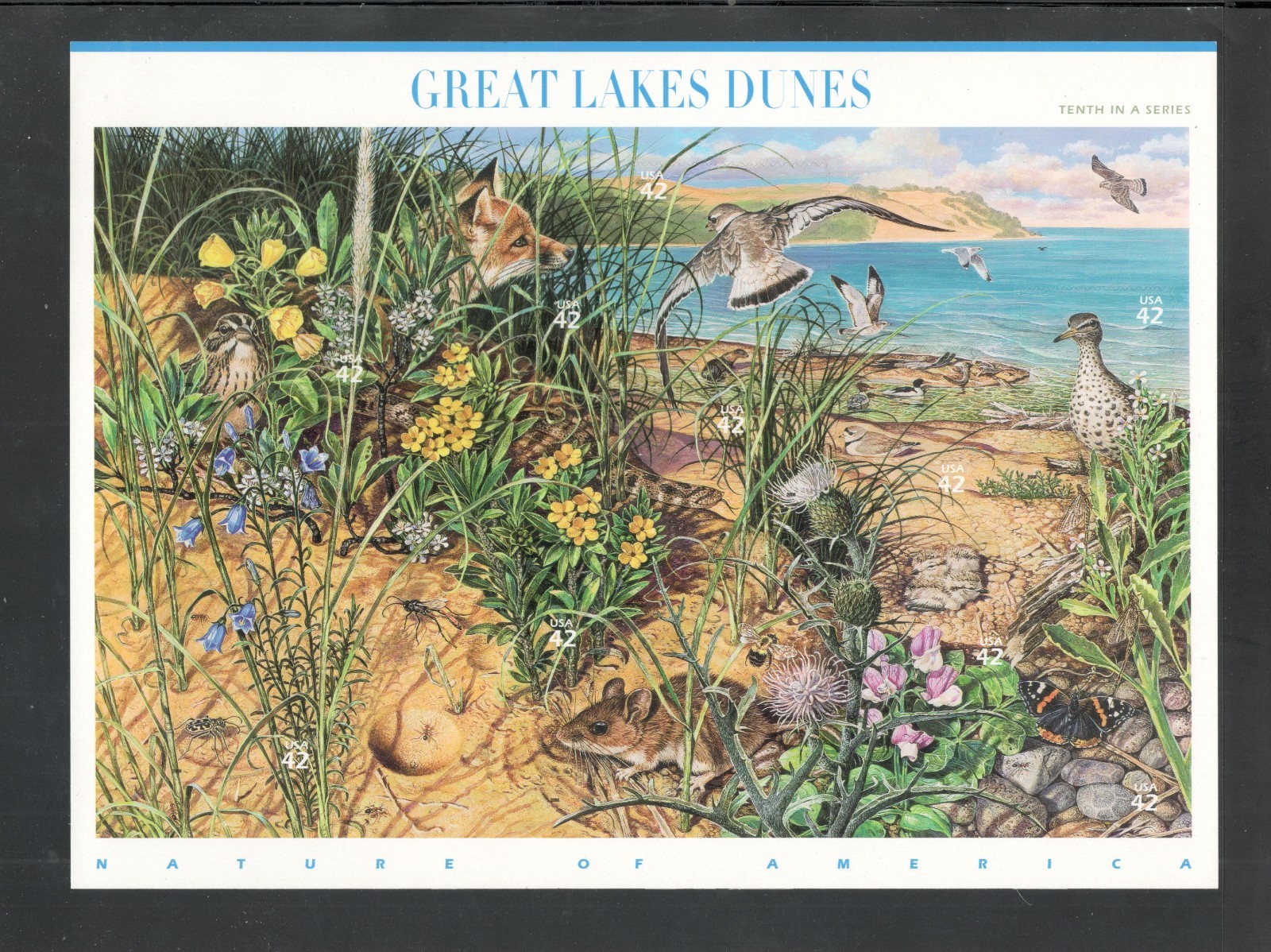 Sc # 4352 ~ Full Pane ~ 42 cent Great Lakes Dunes Issue
