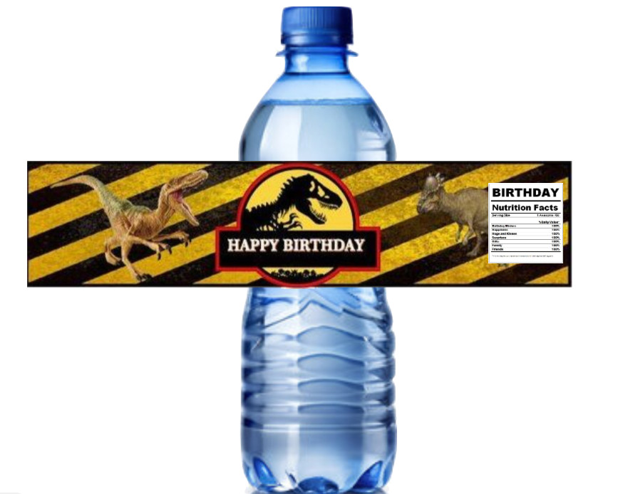 Dinosaur Theme Birthday Water Bottle Labels, Happy Birthday Design, 8.5x2 inches