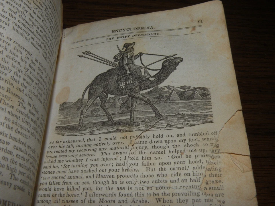 Family Encyclopedia Compendium of Universal Knowledge FINE BINDING Illustr 1833 Foto 2 de 4