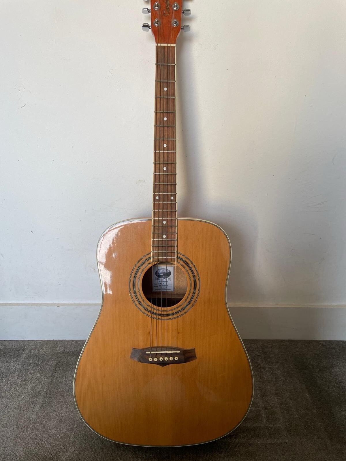 Tanglewood DBT DLX D Discovery Acoustic Guitar