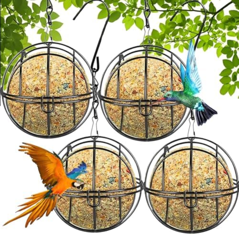 Mangiatoia per Uccelli, 4 Pezzi Mangime per Uccelli, Mangiatoia per Uccellini da